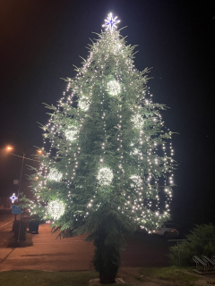 Vánoční strom 2025